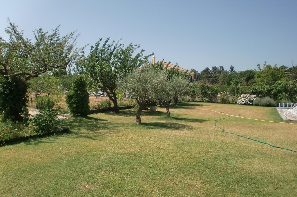 Quinta Da Harmonia Leilighet Azeitao Eksteriør bilde