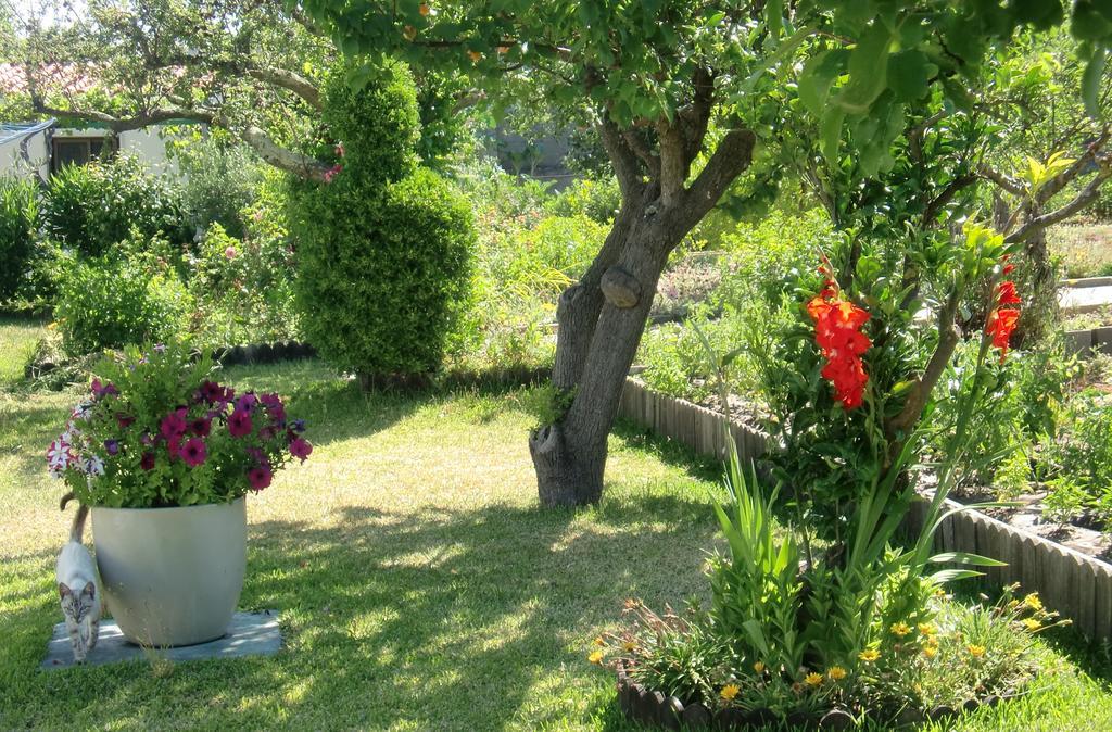 Quinta Da Harmonia Leilighet Azeitao Eksteriør bilde